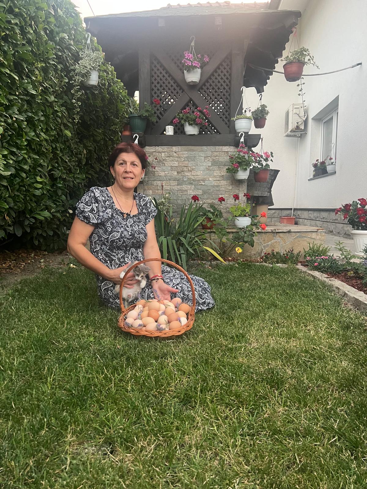 WhatsApp Image 2026-03-31 at 21.15.46