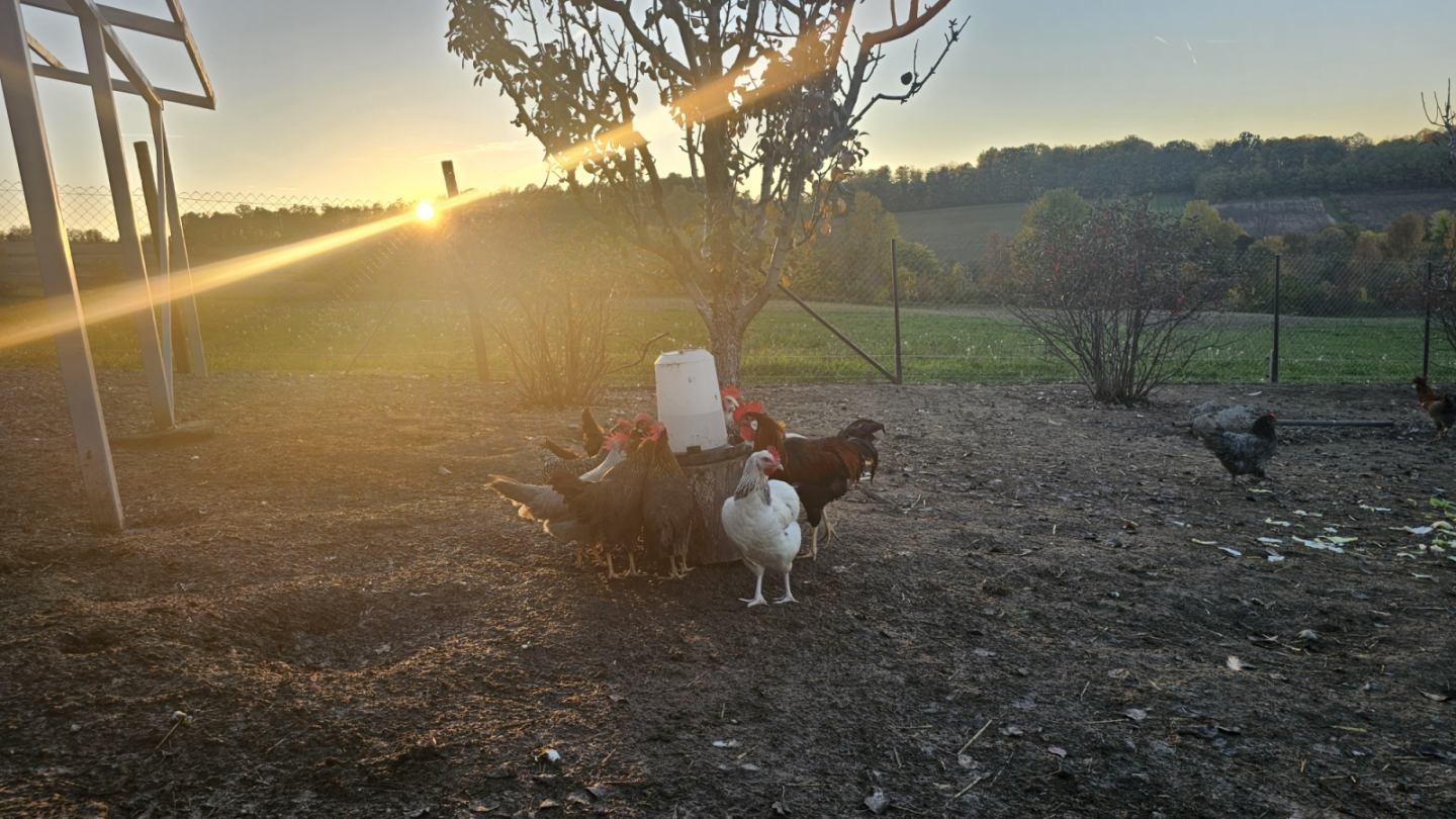 viber_slika_2026-03-23_20-32-16-571